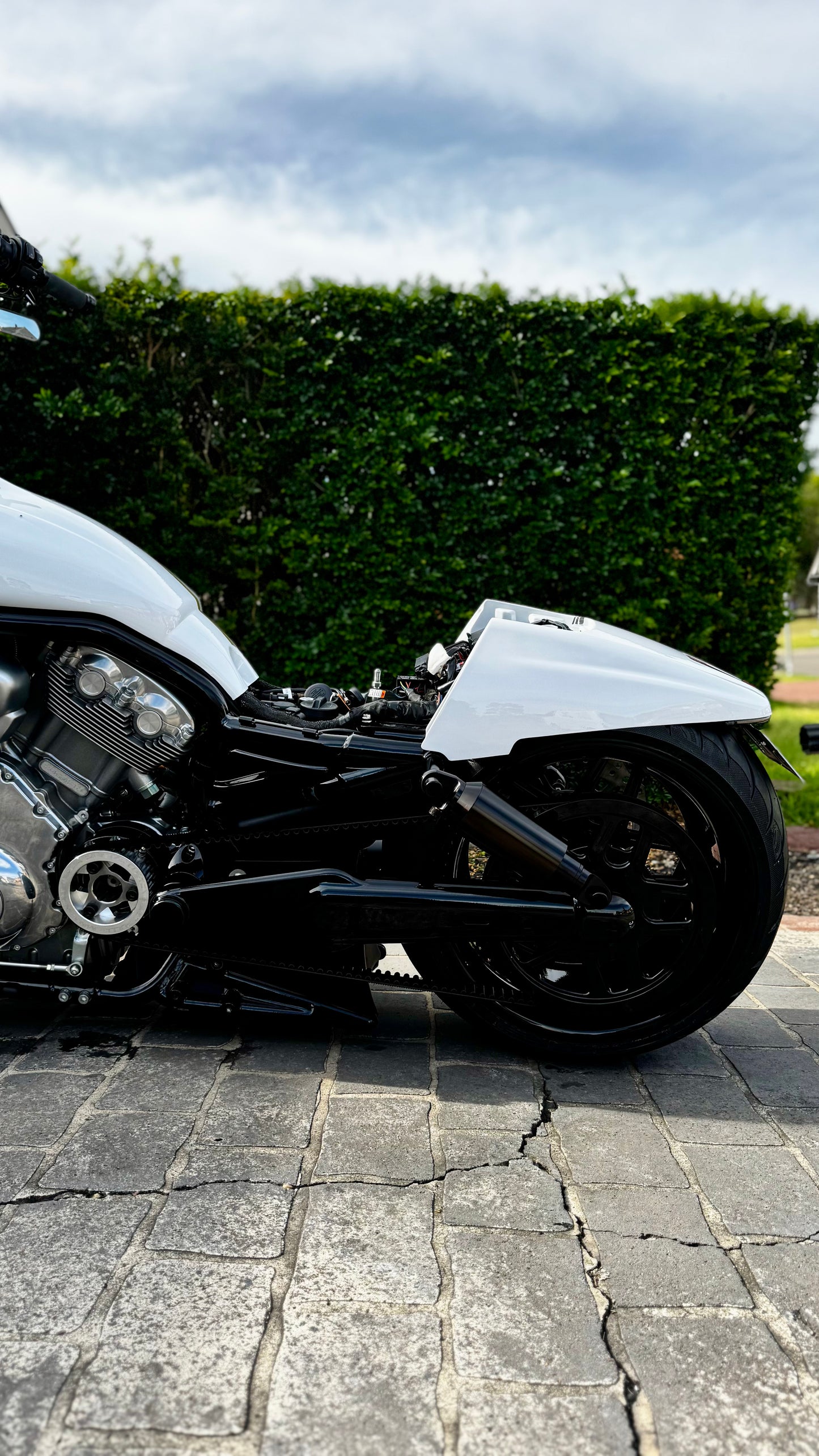 300 vrod nrs/muscle rear end kit