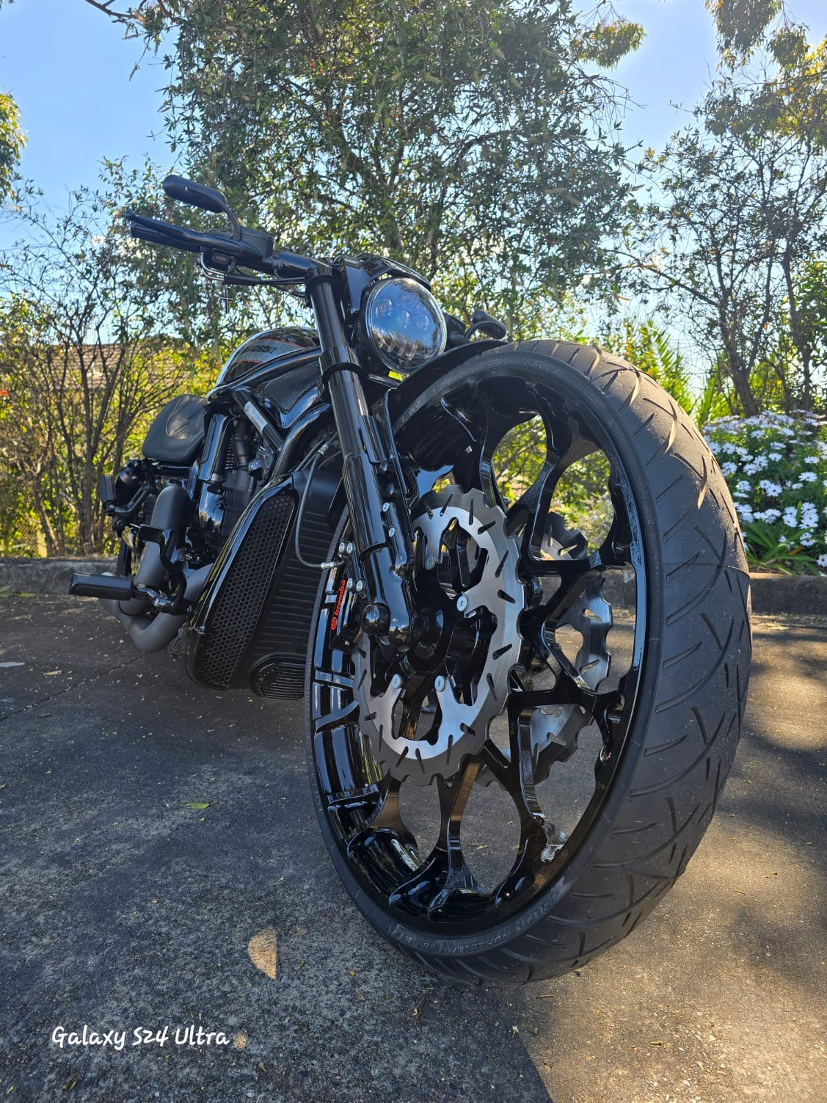 Prodigy Wheel