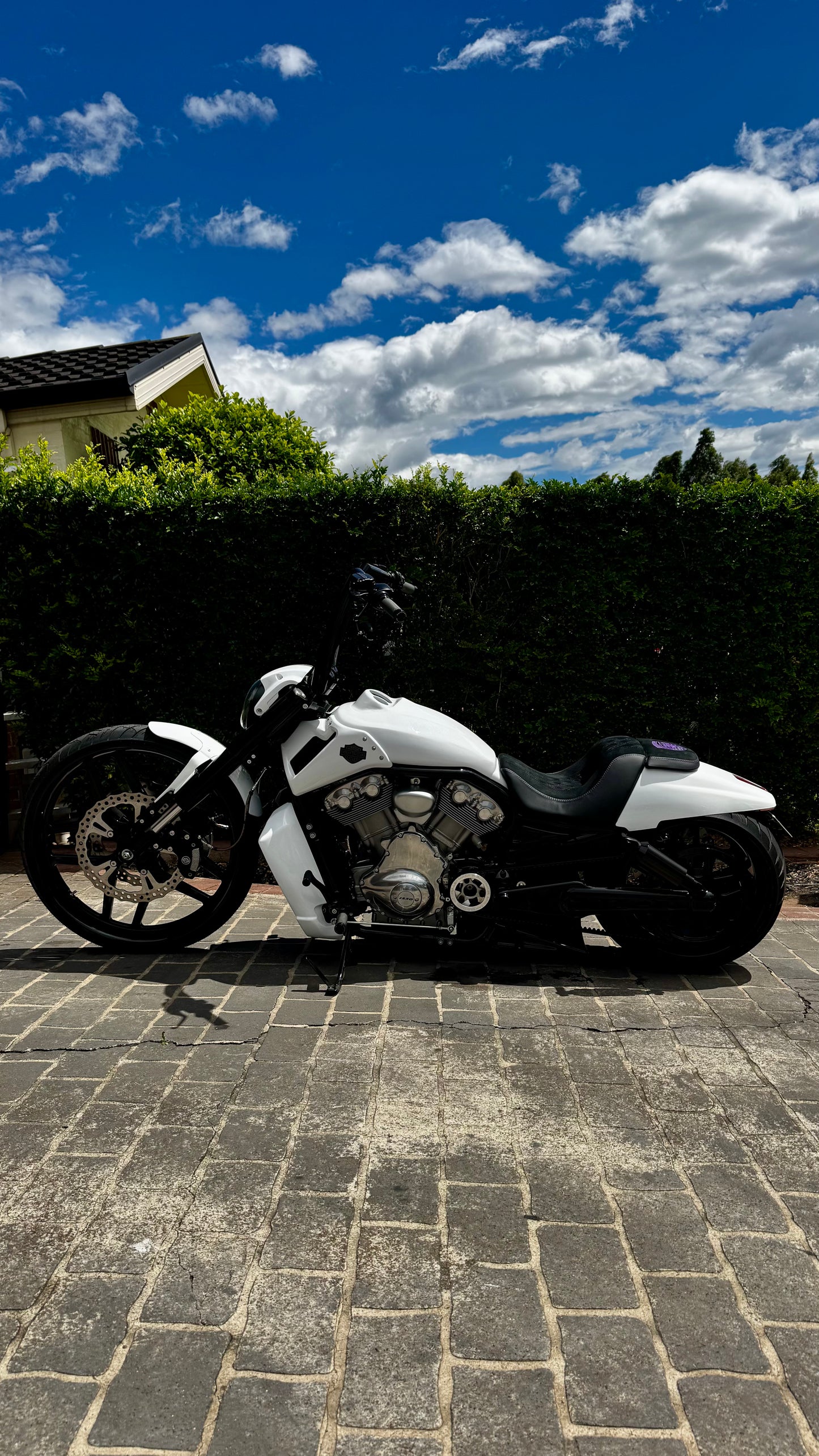 300 vrod nrs/muscle rear end kit