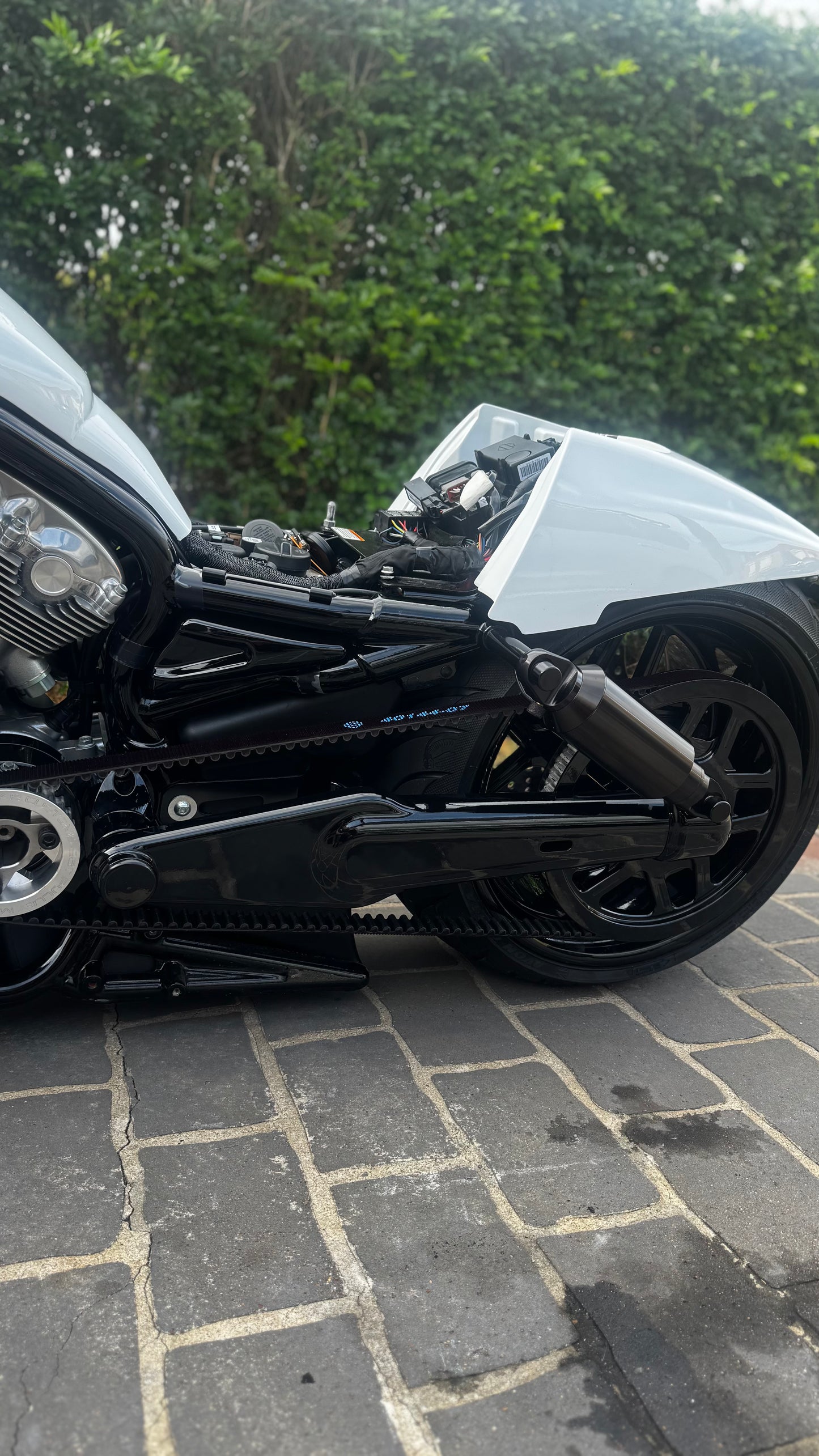 300 vrod nrs/muscle rear end kit